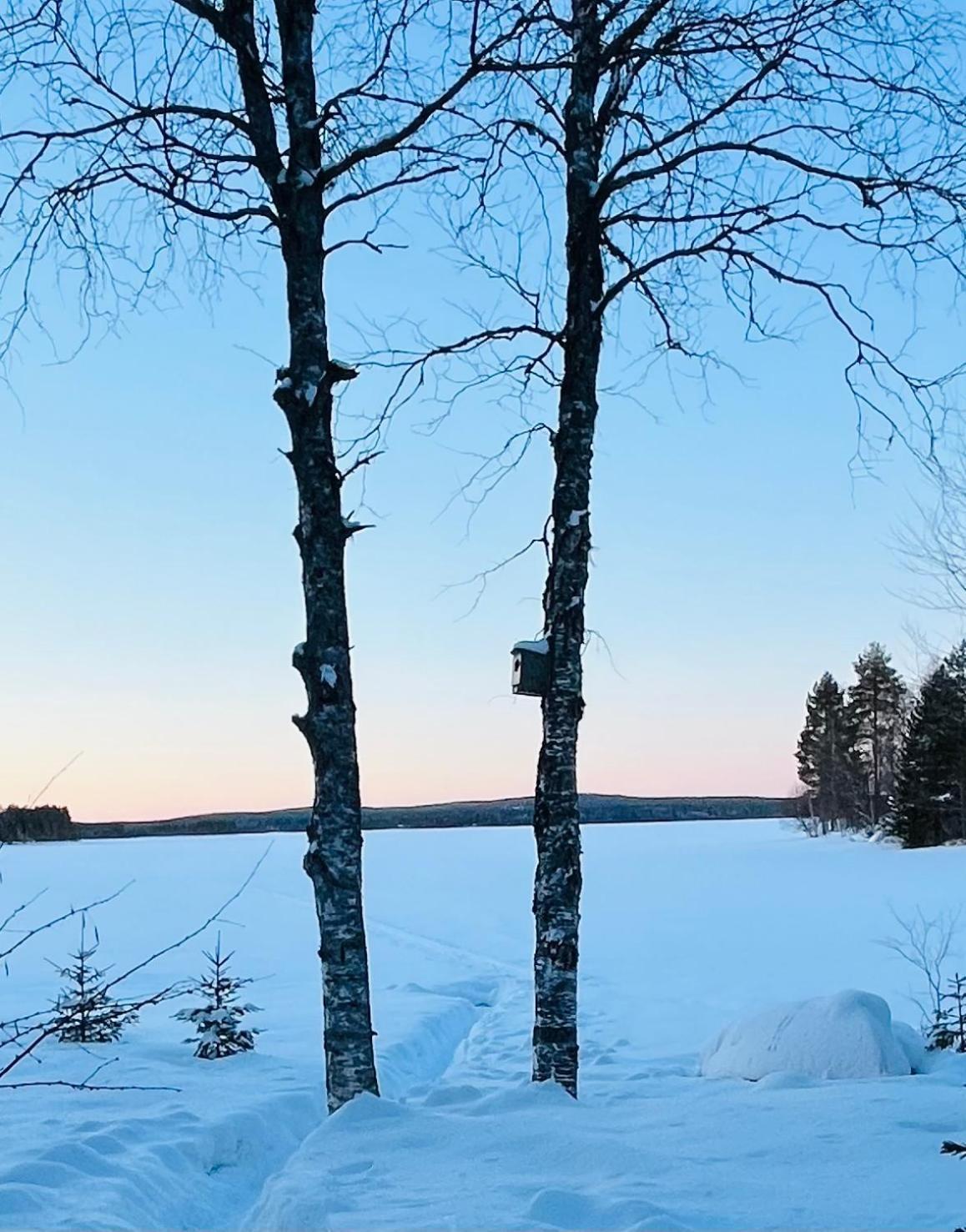 Villa Naava Rovaniemi Exterior foto